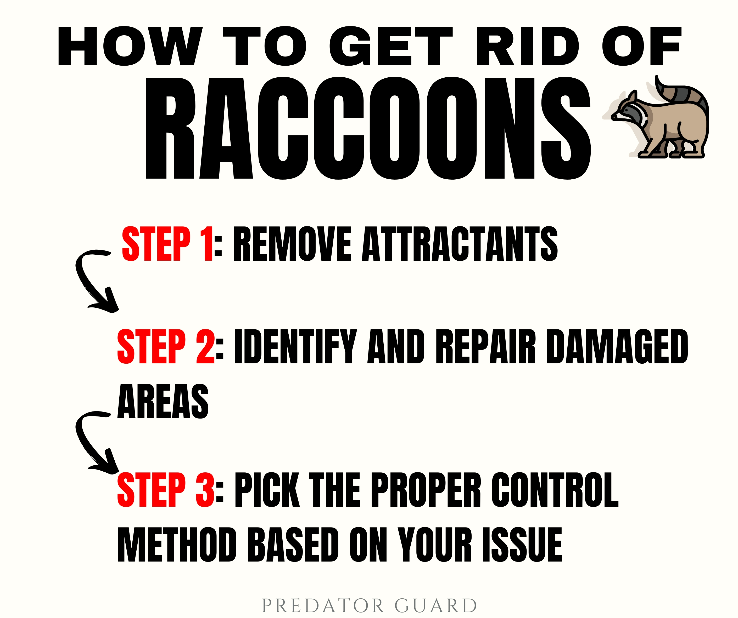 How To Get Rid Of Raccoons On My Deck inspire ideas 2022